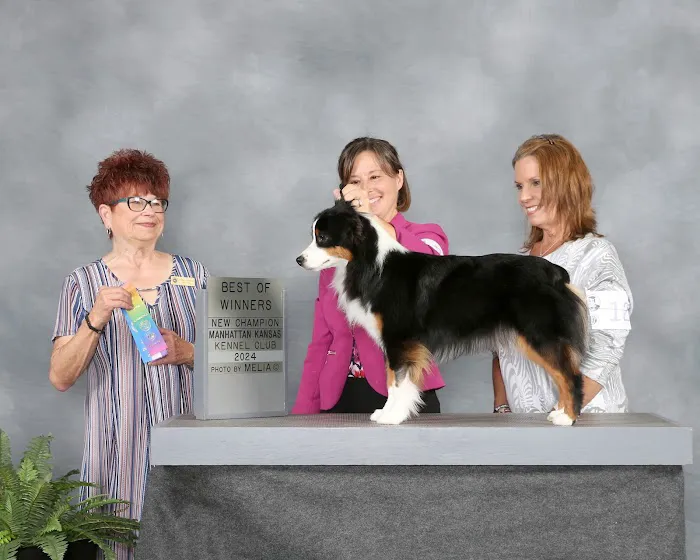 Animal Emergency and Specialty Center of Northwest Arkansas Picture 10