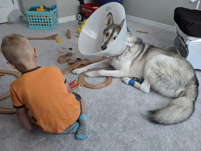 Davis Animal Hospital Picture 1