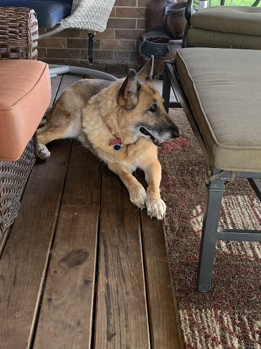 Davis Animal Hospital Picture 4