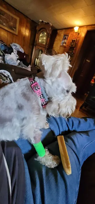 Davis Animal Hospital Picture 5