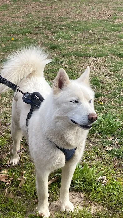 Springdale Animal Hospital Picture 8