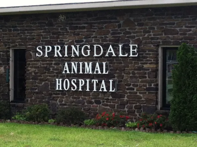 Springdale Animal Hospital Picture 9