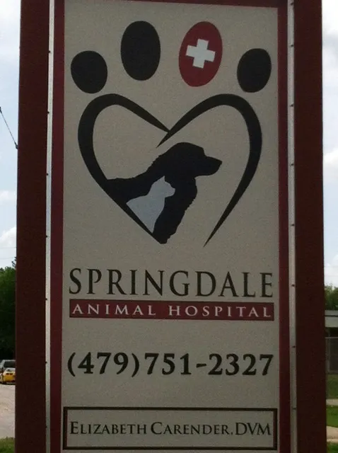 Springdale Animal Hospital Picture 10
