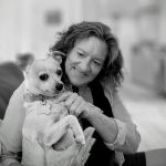 Fayetteville Veterinary Care