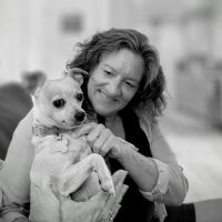 Fayetteville Veterinary Care ico