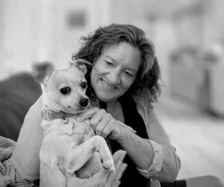 Fayetteville Veterinary Care