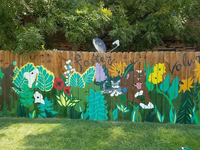 Spay Arkansas Picture 1