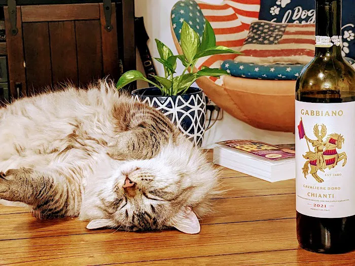 Spay Arkansas Picture 10