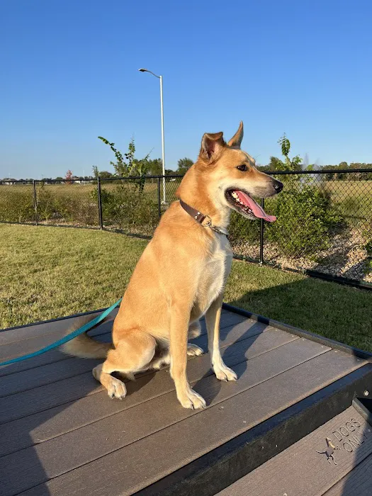 Lowell Vet Center Picture 4