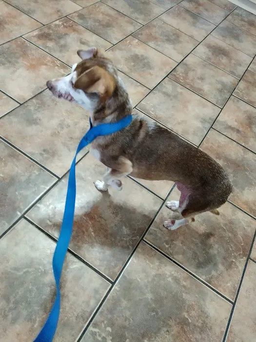 Lowell Vet Center Picture 3