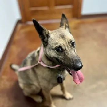 Broadway Animal Hospital Picture 2