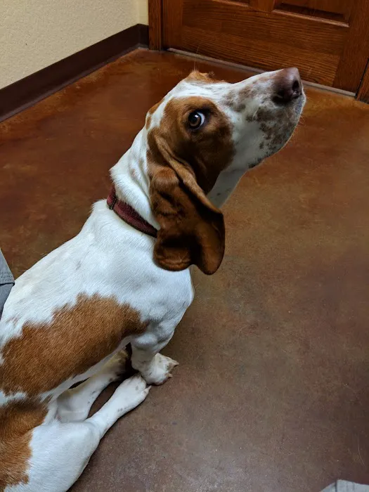 Broadway Animal Hospital Picture 1