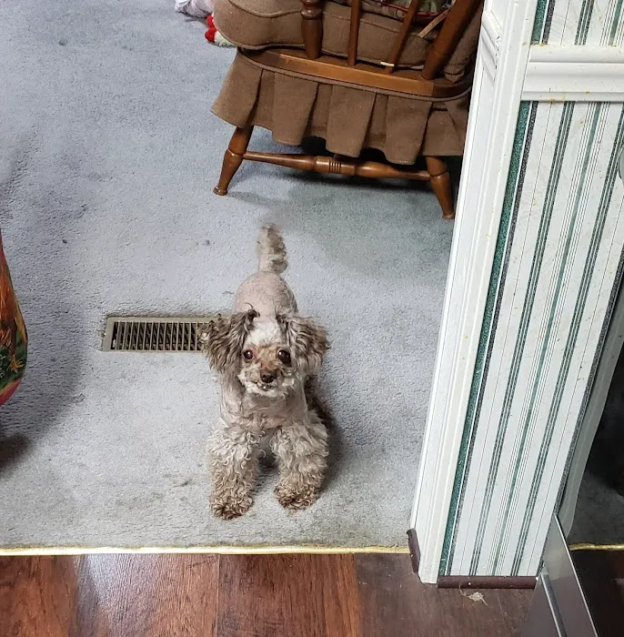 Broadway Animal Hospital Picture 7