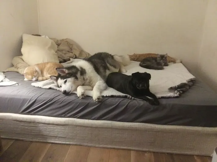 Broadway Animal Hospital Picture 9