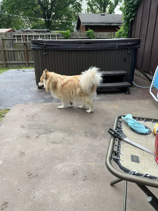 Pet Care & Surgery Center Picture 4