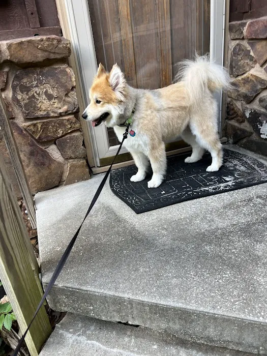 Pet Care & Surgery Center Picture 5