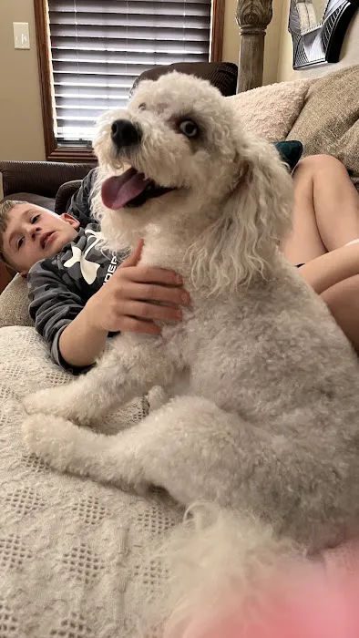 Pet Care & Surgery Center Picture 9