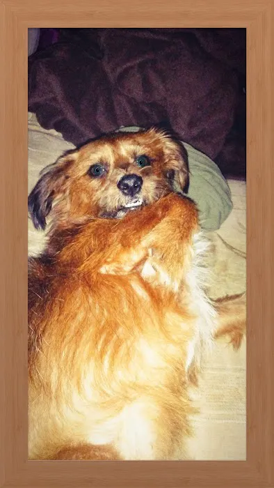 Caney Vet Clinic Picture 4