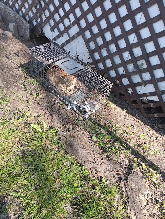 Caney Vet Clinic Picture 8