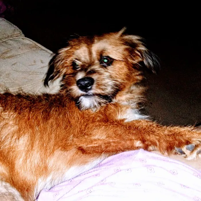 Caney Vet Clinic Picture 5