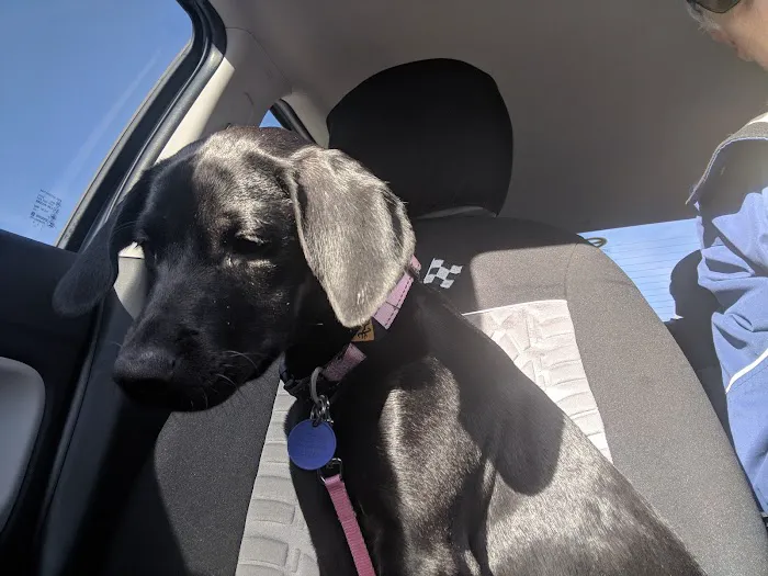 Will Rogers Animal Hospital Picture 2