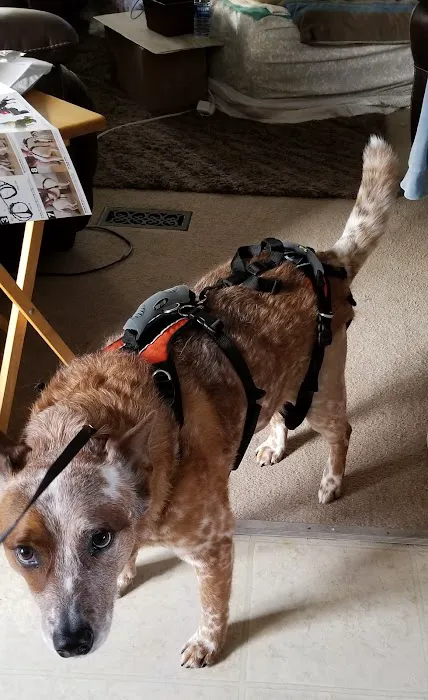 Will Rogers Animal Hospital Picture 3