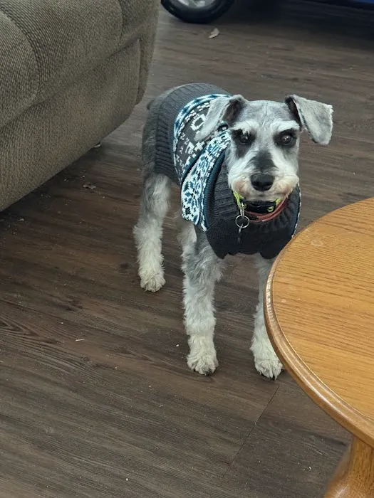 Will Rogers Animal Hospital Picture 1