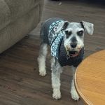 Will Rogers Animal Hospital