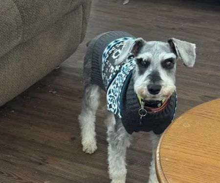 Will Rogers Animal Hospital