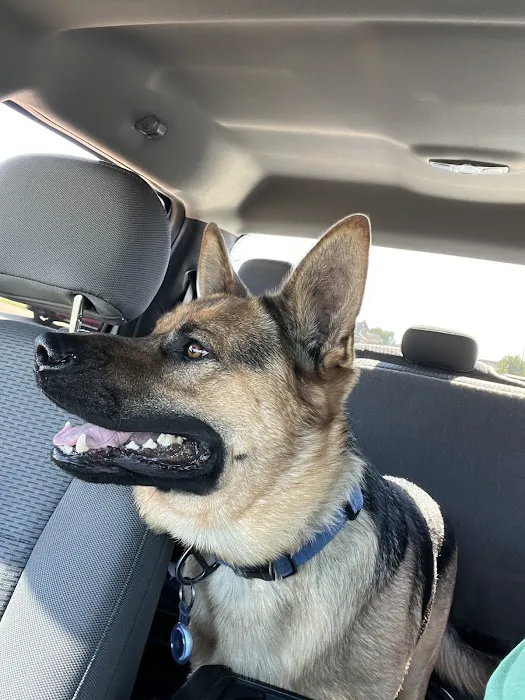 Will Rogers Animal Hospital Picture 5