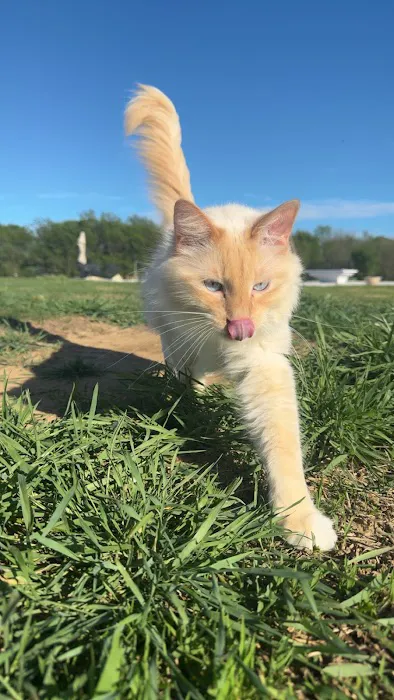 Will Rogers Animal Hospital Picture 6