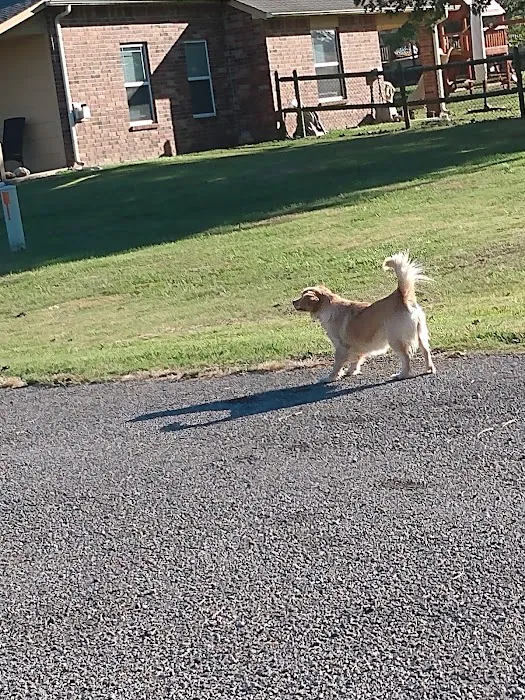 Will Rogers Animal Hospital Picture 9