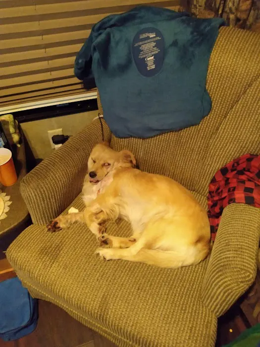 Will Rogers Animal Hospital Picture 8