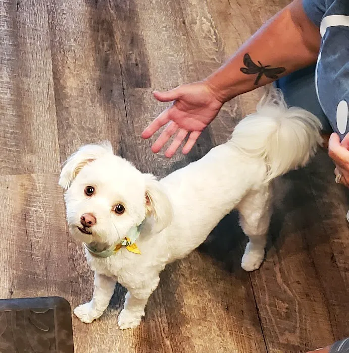 Shipman Animal Hospital Picture 4