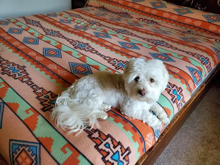 Shipman Animal Hospital Picture 7