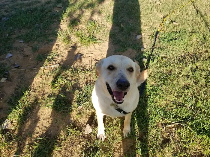 Shipman Animal Hospital Picture 9