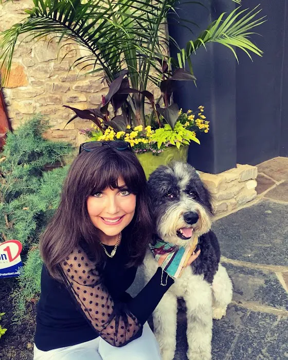 Shipman Animal Hospital Picture 8