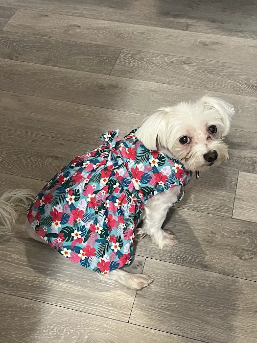 Blue Starr Animal Hospital Picture 3