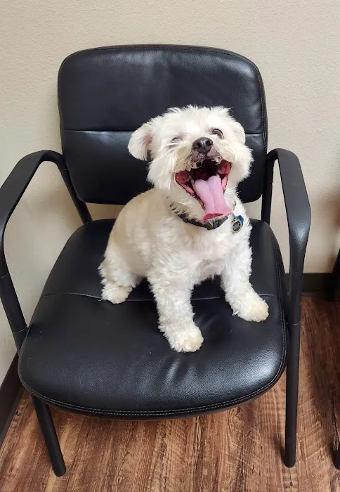 Blue Starr Animal Hospital Picture 9