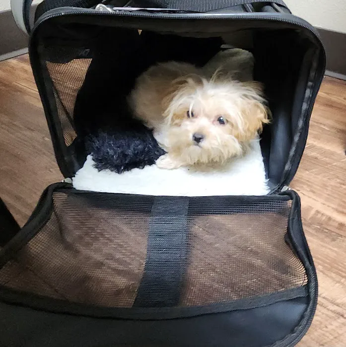 Blue Starr Animal Hospital Picture 10