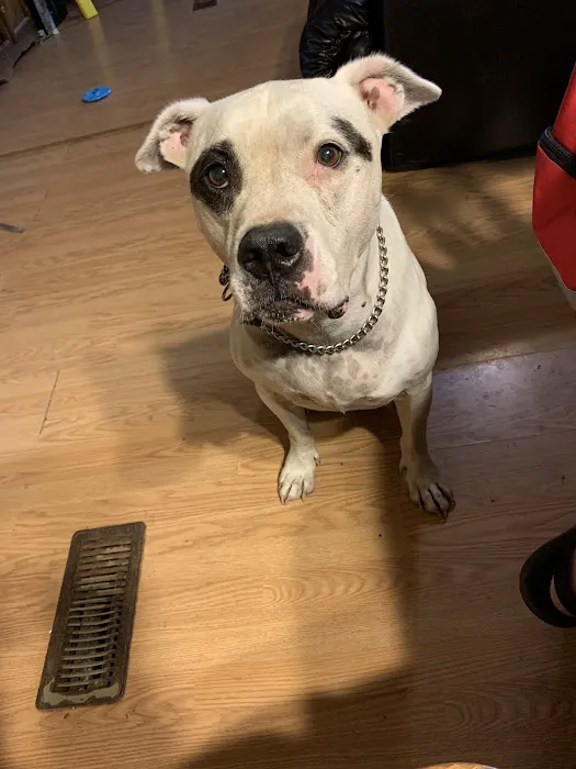 Animal Medical Center Picture 2