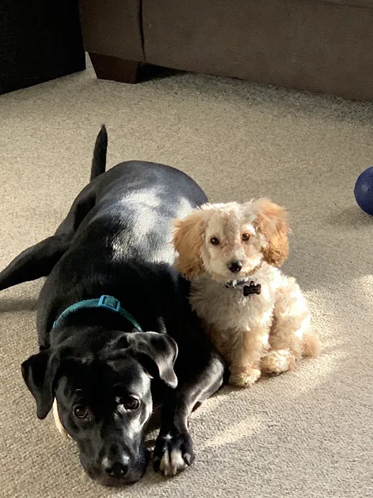 Animal Medical Center Picture 7