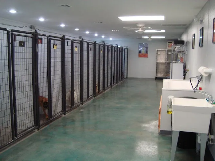 Animal Medical Center Picture 8