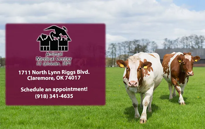 Animal Medical Center Picture 9