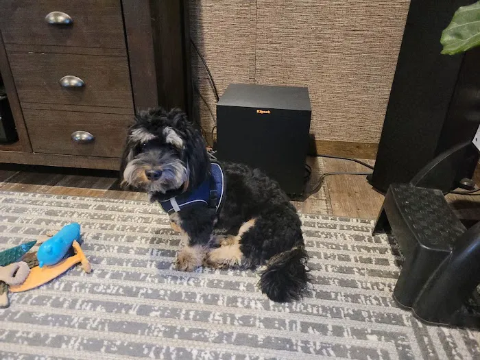 Reid Veterinary Clinic Picture 3