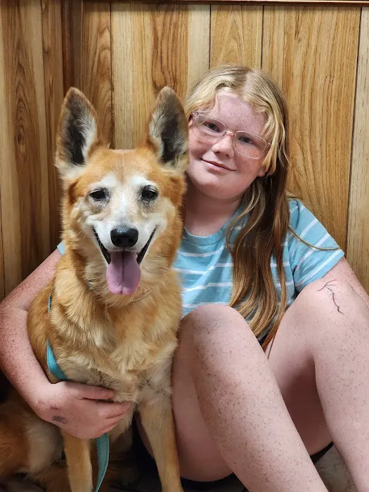 Rogers County Pet Hospital Picture 4