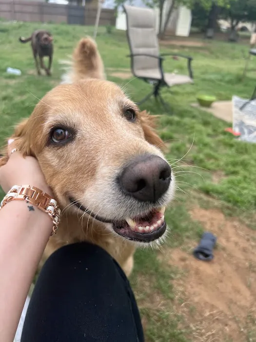 Rogers County Pet Hospital Picture 5