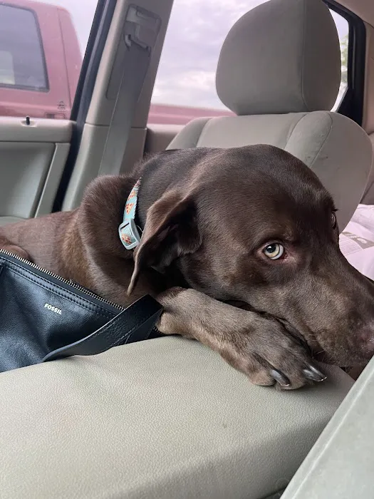 Rogers County Pet Hospital Picture 3