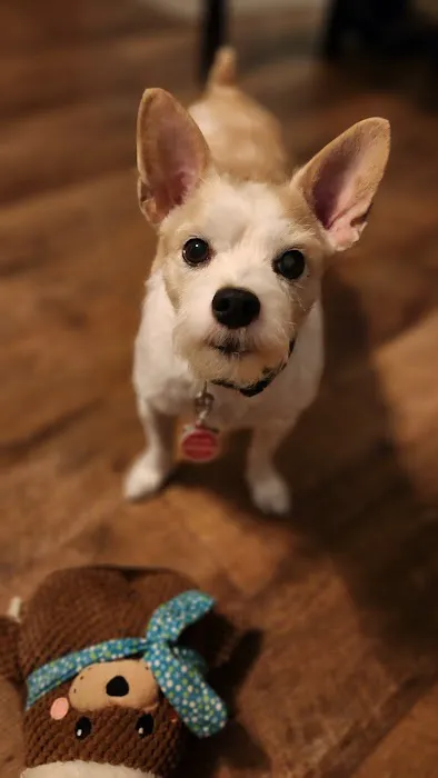 The Ark Animal Hospital Picture 3