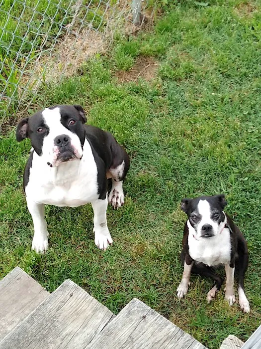 The Ark Animal Hospital Picture 2